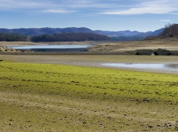 Trail On foot Montbel - Tour du Lac de Montbel - Photo