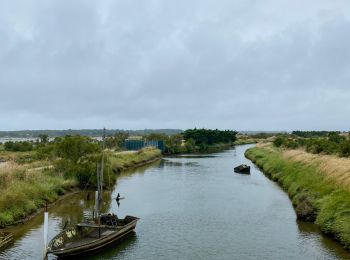 Trail Mountain bike Les Sables-d'Olonne - Circuit Des Sauniers depuis la Pironiere - Photo