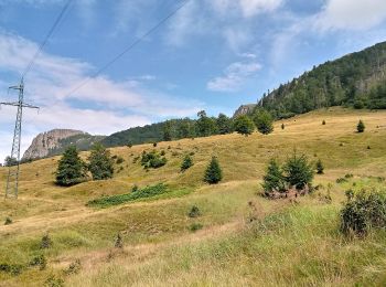 Tour Zu Fuß  - sat Mara – Creasta Cocoșului (blue cross) - Photo