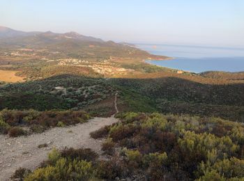 Tour Pfad Belgodère - Boucle Punto arco - Spar Lozari - Photo