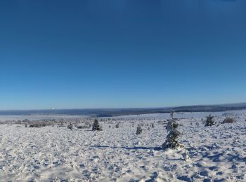 Randonnée Ski de fond Waimes - Les trois boucles des hautes fagnes - Photo