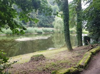 Tocht Stappen Hoeilaart - Groenendael_0823 - Photo