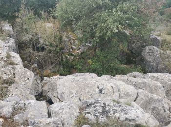 Tocht Stappen Espéraza - Esperaza Rennes le château  - Photo