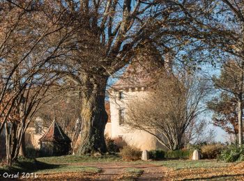 Randonnée Marche Berd'huis - Berd'huis - Saint-Cyr-la-Rosière via Préaux-du-Perche 12 km - Photo