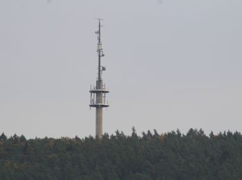 Percorso A piedi Gemünden am Main - Rote Schnepfe, Zollberg-Langeprozelten - Photo