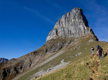 Tocht Te voet Glarus Süd - Panoramawanderung Braunwald - Photo