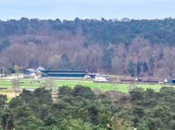 Randonnée A pied Fontainebleau - Boucle 25 km depuis la table du roi avec rochers - Photo
