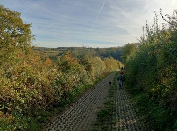 Trail Walking Heerlen - Putberg tot Slakkenpad en terug  - Photo