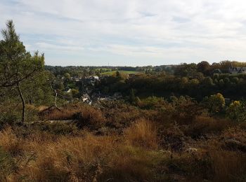 Trail Walking Rochefort-en-Terre - Pluherlin, Les Grées - Photo