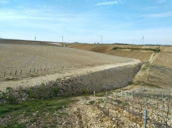 Randonnée Marche Venoy - AVF - Beines 20-04-2022 - Photo