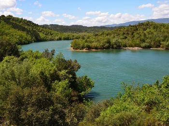 Excursión Senderismo Montauroux - Esterets du Lac - Observatoire - Lac de St Cassien - Photo