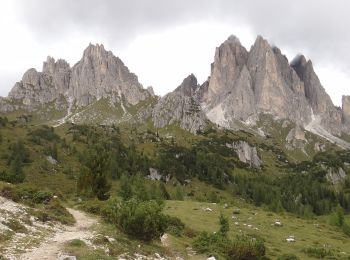 Randonnée A pied Auronzo di Cadore - IT-120 - Photo