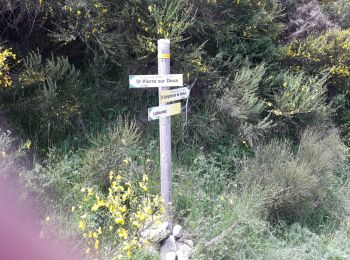 Tocht Te voet Saint-Pierre-sur-Doux - st Pierre sur doux - Photo