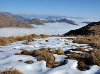 Randonnée A pied Miazzina - R03 - Sentiero BOVE tratto Pian Cavallone Monte Zeda - Photo