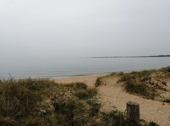 Randonnée V.T.T. Caen - Caen  la point du siège.  - Photo