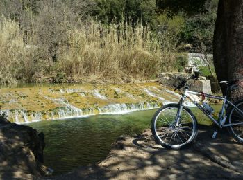 Tocht Mountainbike Draguignan - 20190322 VTT détente  - Photo