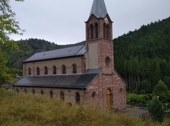 Tocht Stappen Rimbach-près-Masevaux - Haute Bers - Photo