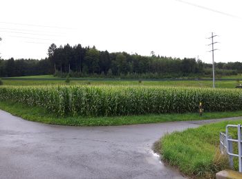 Randonnée A pied Affoltern am Albis - Zwillikon - Kapelle Jonental - Photo