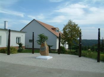 Tour Zu Fuß Stephansdorf in der Wart - Rókagomba tanösvény - Photo