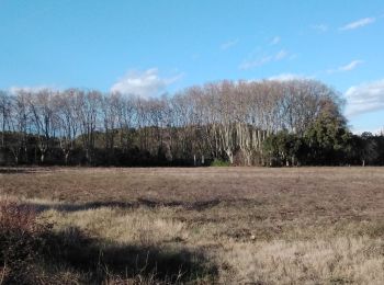 Randonnée Marche Sarrians - sarrians 84 les garrigues sud  - Photo