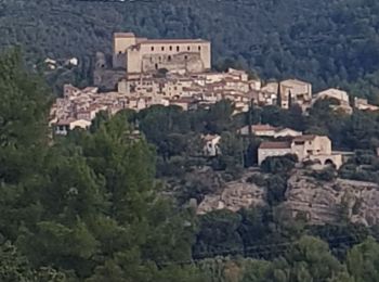 Percorso Marcia Gréoux-les-Bains - Gréoux les Bains, boucle passant par les Marras - Photo