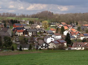 Tour Zu Fuß Flieden - Magdlos 2 - Photo