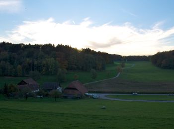 Trail On foot Pfungen - Pfungen - Oberembrach - Photo