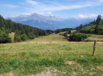 Excursión Senderismo Combloux - 230815 - Photo