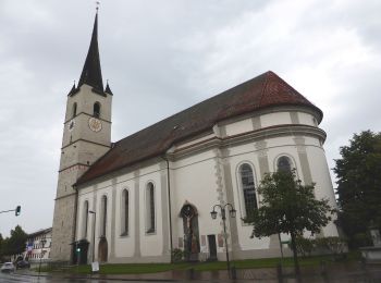 Tocht Te voet Höslwang - Schloßholzweg - Photo