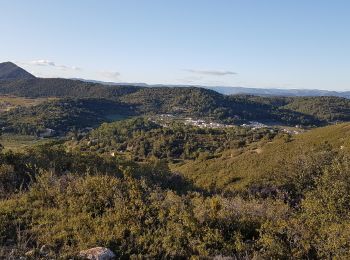 Excursión Senderismo Clermont-l'Hérault - La Ramasse - Photo