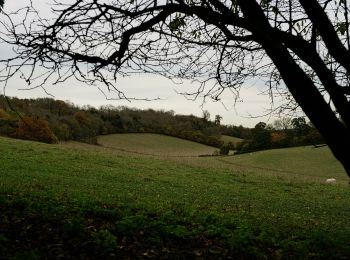 Tocht Te voet Reigate and Banstead - Chipstead walk (SCC) - Photo