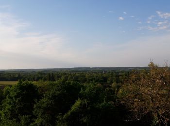 Trail Walking Coteaux-sur-Loire - st Michel sur Loire  - Photo