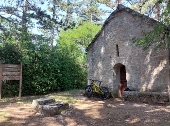 Percorso Mountainbike Bédoin - Enduro les Pins Noirs - Photo