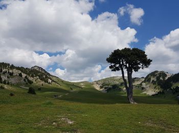 Excursión Senderismo Saint-Michel-les-Portes - Les Carrières Romaines par le Pas de La Selle et le Pas des Bachassons - Photo