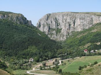 Randonnée A pied Turda - Turda - Drumul Domnilor - Cabana Cheile Turzii - Photo