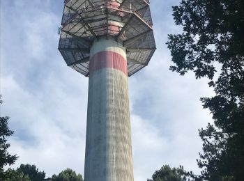 Tour Wandern Caubeyres - Antenne Caubeyres  - Photo