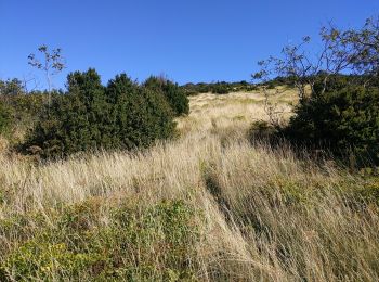 Randonnée Marche Peyrus - pont des sarrasins, faucon, piaroux  - Photo