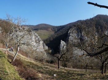 Tour Zu Fuß Pont-en-Royans - 24-FEV-19 - Photo