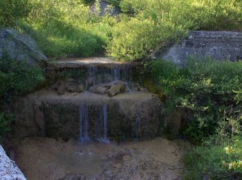 Tocht Te voet Menconico - Anello Menconico Sud - Photo