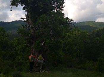 Randonnée Marche Saint-Geniez - la montagne de Gache - Photo