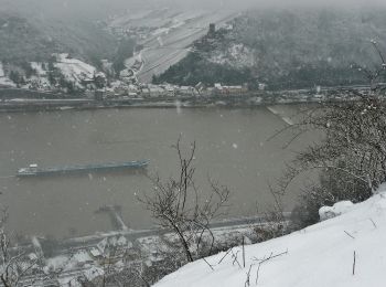 Percorso A piedi Lorch - Rhein-Wisper-Glück - Photo