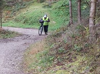 Trail Hybrid bike Gemeinde Natters - natterer  - Photo