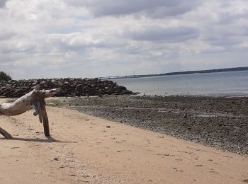 Tour Wandern Bourcefranc-le-Chapus - marennes  - Photo