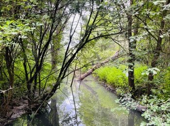 Trail Walking Waremme - La promenade du Wachnet à Waremme - Photo