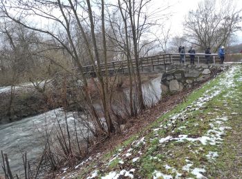 Randonnée Marche Ungersheim - Ungersheim - Photo