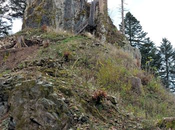 Trail Walking Breitenbach - Col de la Charbonnière -Château de la Roche - Photo