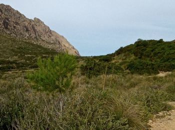 Tour Wandern Pollença - cala boquer  - Photo