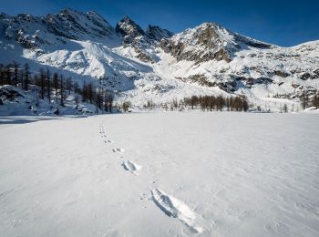 Percorso A piedi Ceresole Reale - IT-531A - Photo