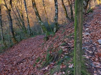 Excursión Senderismo Rieupeyroux - rieupeyroux  petit parcours  - Photo