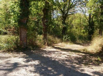 Excursión Marcha nórdica Combronde - Combronde, Chauviat, les Reures - Photo